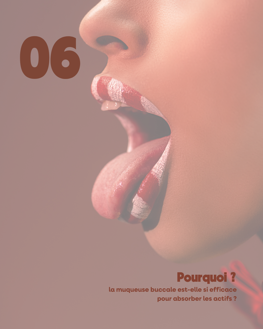 Pourquoi la muqueuse buccale est-elle si efficace pour absorber les actifs ?