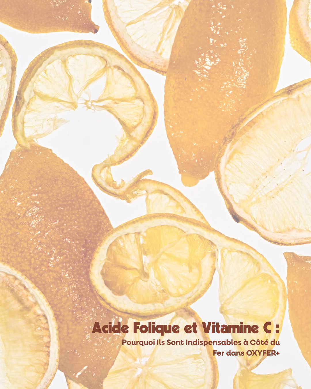Acide Folique et Vitamine C : Pourquoi Ils Sont Indispensables à Côté du Fer dans OXYFER+